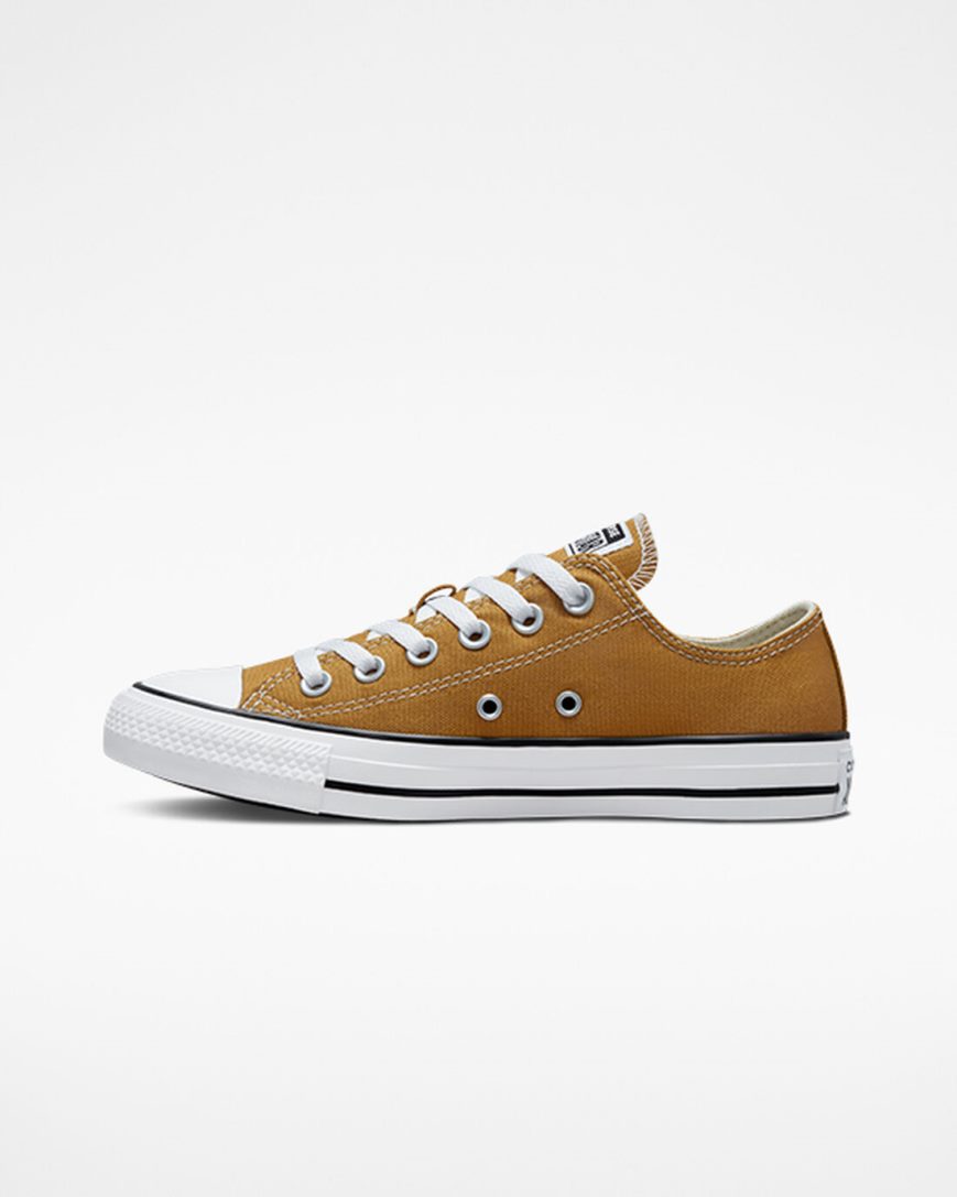 Dámské Boty Nízké Converse Chuck Taylor All Star Seasonal Color Oranžové | CZ USYJ61